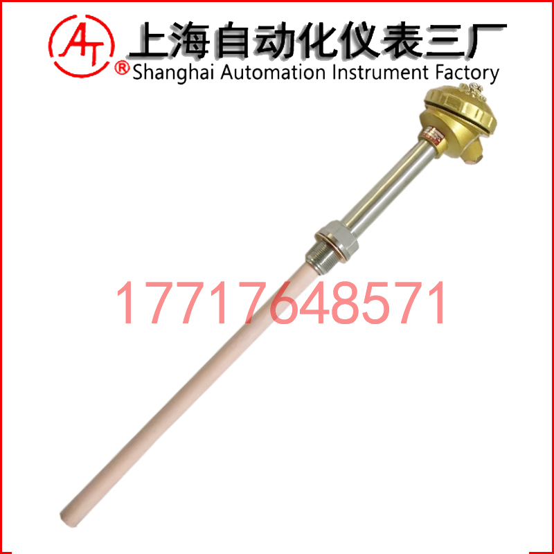 WRR2-230雙支鉑銠熱電偶