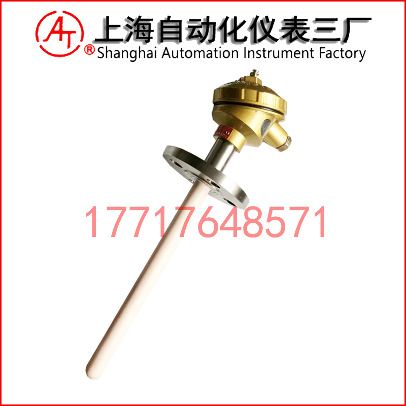 WRR2-430雙支鉑銠熱電偶