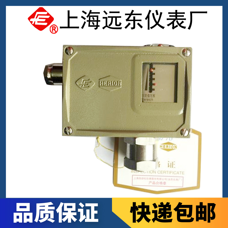 D501/7DZ雙觸點(diǎn)壓力控制器